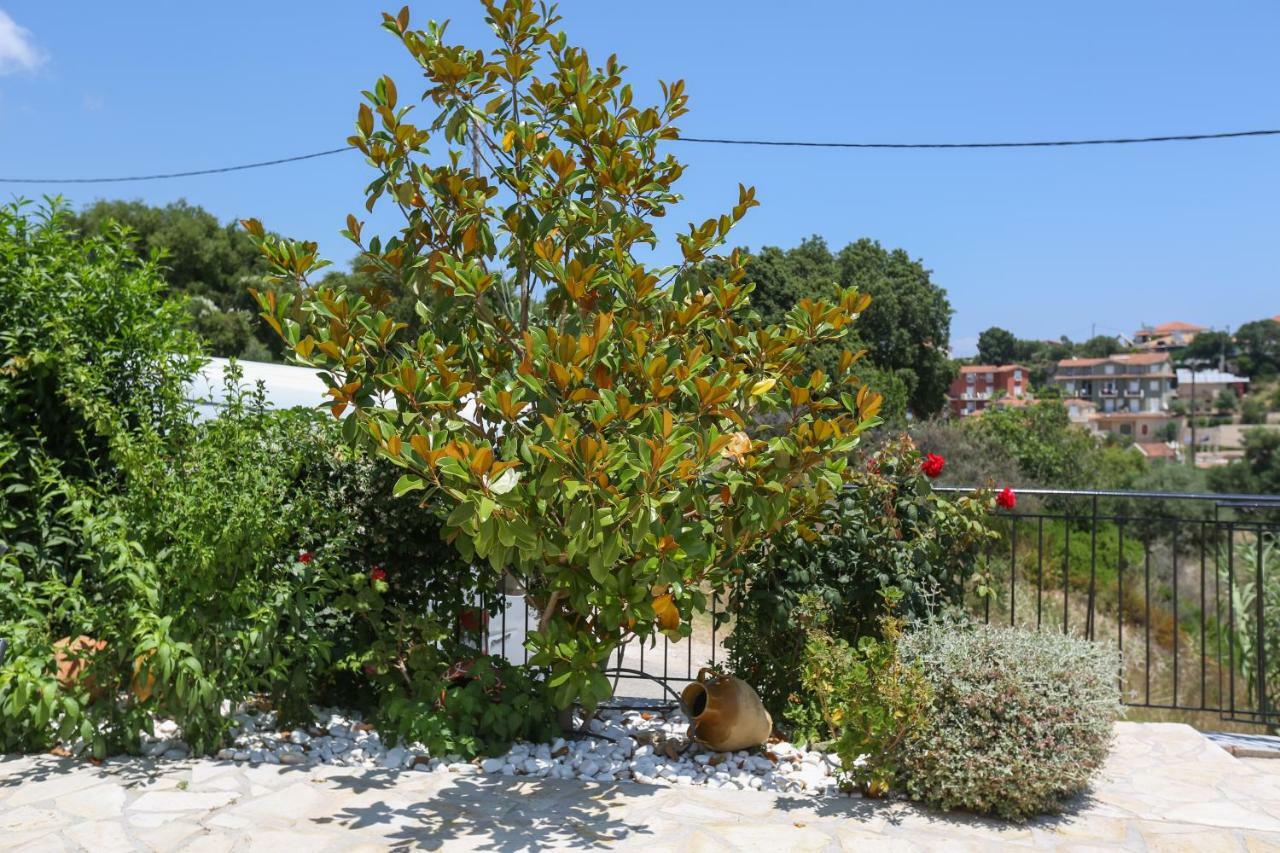 Pelagos Apartments Skala (Kefalonia) Exterior foto